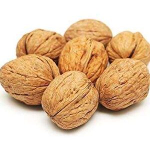 Kashmiri Walnut Shell