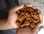 3P Brown Kashmiri Walnut Kernels - Image 2
