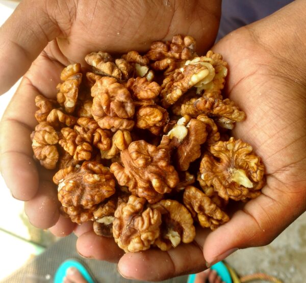 3P Regular Kashmiri Walnut Kernels - Image 2