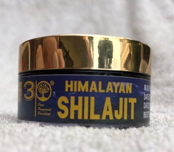 3P Pure Himalayan Shilajit - 20 gm