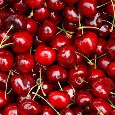 cherry Cherry - Image 1