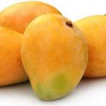 Mango Alphanso