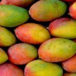 Mango Sinduri