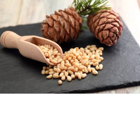pinenuts Pine Nuts - 100gm - Image 1